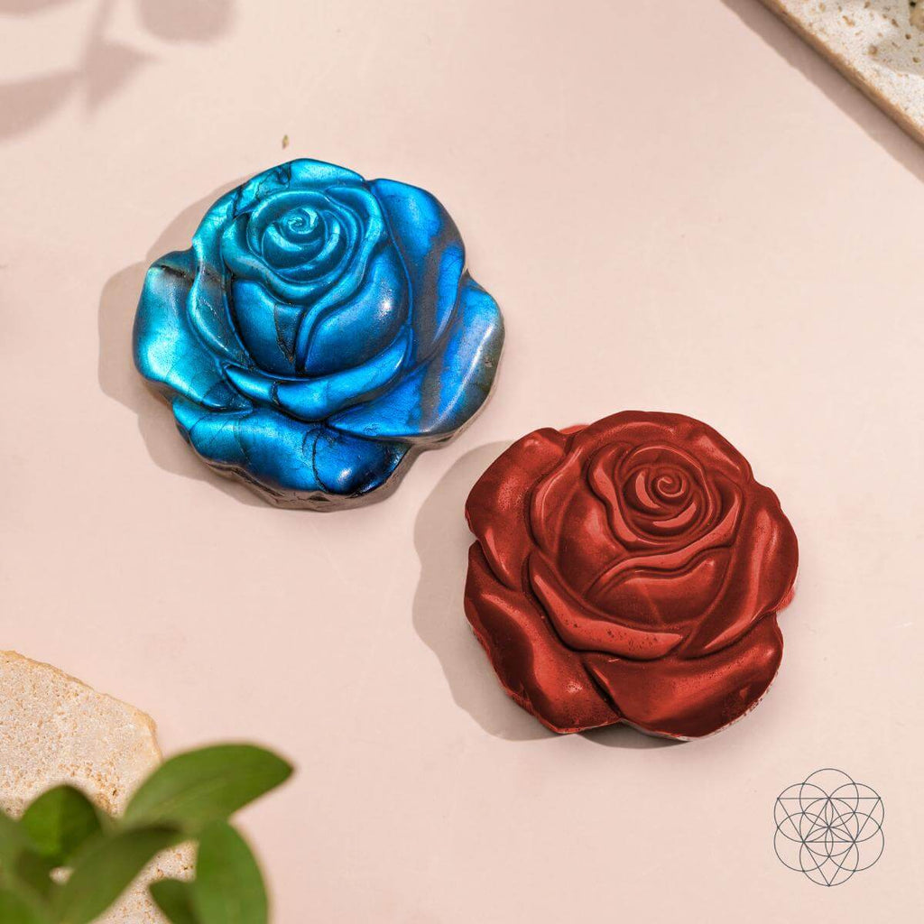 Beautifully Unique - Blossoming Rose of Singularity
